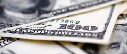 Merkez Bankası döviz alımına geri döndü