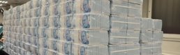 Merkez Bankası'nın bugün açıklayacağı faiz kararı doları nasıl etkileyebilir?