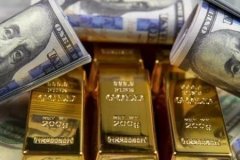 Merkez Bankası rezervleri rekor tazeledi