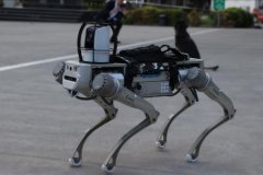 Milli robot köpek PROTEO, gelecek yıl göreve hazır olacak