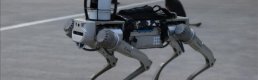 Milli robot köpek PROTEO, gelecek yıl göreve hazır olacak
