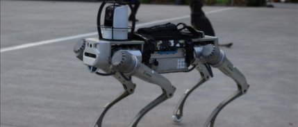 Milli robot köpek PROTEO, gelecek yıl göreve hazır olacak