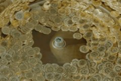 Darphane’nin yıllık altın üretimi 13 milyon adedi geçti