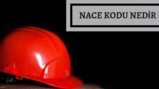 NACE kodu nedir? Sorgulaması nasıl yapılır?