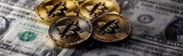 New York Fed Başkanı Dudley: “Kripto Paralar Bireysel Yatırımcı İçin Çok Tehlikeli”