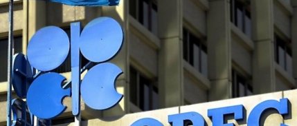 Novak OPEC+’dan tam işbirliği bekliyor