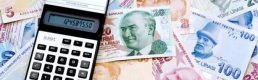 Ocak Ayı Bütçe Giderlerinde Artış Yaşandı