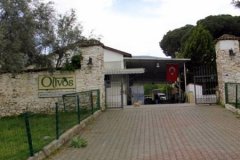 Ödüllü zeytinyağı markası Olivos konkordato talep etti