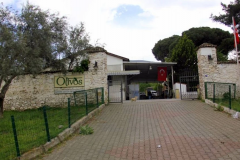 Ödüllü zeytinyağı markası Olivos konkordato talep etti