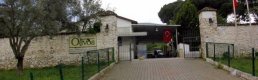 Ödüllü zeytinyağı markası Olivos konkordato talep etti