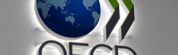 OECD: 4.Çeyrekte Büyüme Yavaşladı