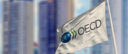 OECD Türkiye 2022 büyüme tahminini yükseltti