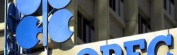 OPEC'in ham petrol üretimi martta azaldı