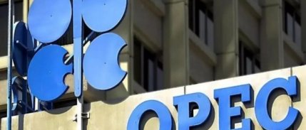 OPEC'in ham petrol üretimi martta azaldı