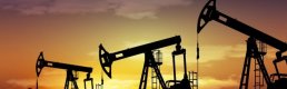 Opec Petrol Üretiminin Arttırılması Hedefi Için Rusya’yla Bir Araya Geldi