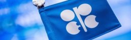 OPEC üretiminde düşüşle petrol yükseldi