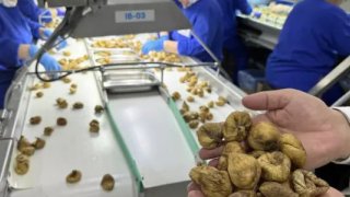 ORGÜDER: Türkiye'nin organik ürün ihracatı 1 milyar euroyu aştı