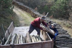 Orman köylüsü ailelere 2,55 milyar lira destek sağlandı