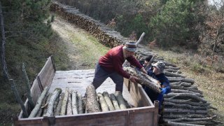 Orman köylüsü ailelere 2,55 milyar lira destek sağlandı