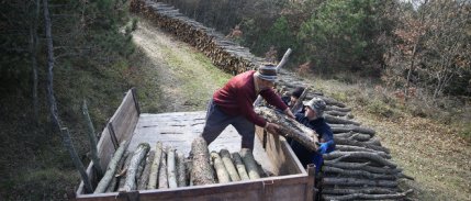 Orman köylüsü ailelere 2,55 milyar lira destek sağlandı