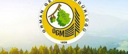 Orman Genel Müdürlüğü 4 bin 500 geçici işçi alacak