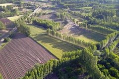 Orman kadastrosu ve 2B yönetmeliği yenilendi