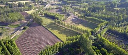 Orman kadastrosu ve 2B yönetmeliği yenilendi