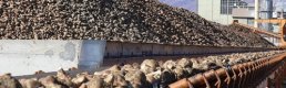 Özelleştirme İdaresi, Iğdır Şeker Fabrikası'nın satışına onay verdi
