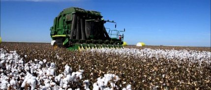 Pamuğun Kullanım Alanı Genişliyor