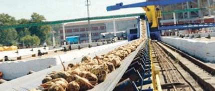 Pankobirlik Genel Başkanı Konuk: Şeker Fabrikaları, Çiftçi Kuruluşların Işlettiği Modele Dönüştürülmeli 