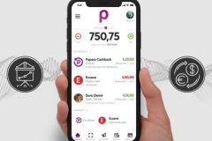 Papara’dan kullanıcı bakiyelerine ilişkin açıklama