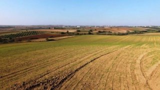 Parasını toprağa yatıranlar kaybetti: Arsa ve tarlada en az değerlenen iller belli oldu