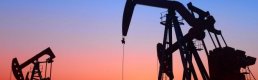 Petrol fiyatları G20 Zirvesi öncesi karışık