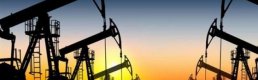 Petrol fiyatları OPEC kararının ertelenmesiyle düşüşte