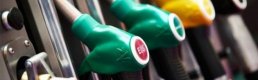 Petrol fiyatları yüzde düşüş sonrası toparlanıyor