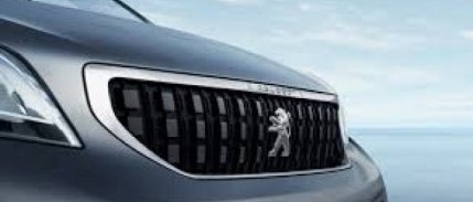 Peugeot Çinli ikinci el hizmet firmasına yatırım yapacak