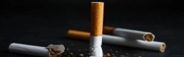 Philip Morris grubu sigaralara zam geldi