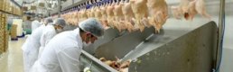 Piliç sektörünün liderlerinden Keskinoğlu satılıyor