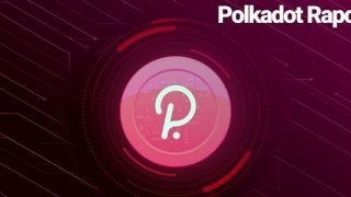 Polkadot ve Parachain Raporu