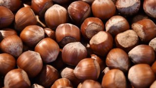 Rekabet Kurulu Ferrero'nun fındık alım taahhütlerini revize etti