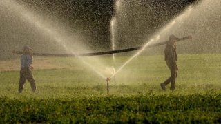 Resmi Gazete’de yayımlandı: Çiftçilere %50 destek kararı alındı