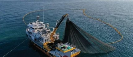 Resmi Gazete'de yayımlandı: Su ürünleri avcılığında yeni dönem başlıyor