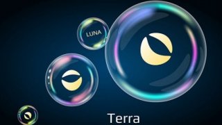 Ripple ve Terra Analizi