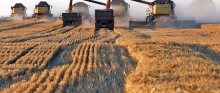 Rusya tahıl ürünlerinde ihracat vergilerini geçici olarak sıfırlıyor