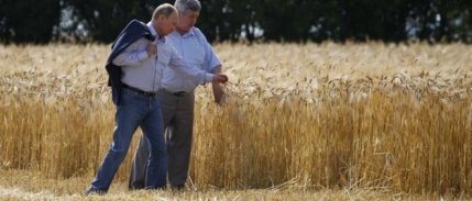 Rusya, tahılda ihracat vergisini yüzde 32 artırdı