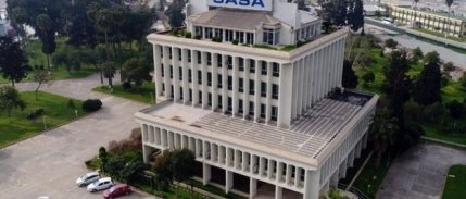 Sasa'dan 2.5 milyar TL net kâr