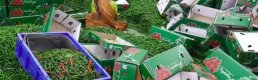 Sebze ihracatında Antalya, Isparta ve Burdur'un rolü giderek artıyor