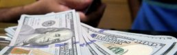 Serbest piyasada döviz açılış fiyatları