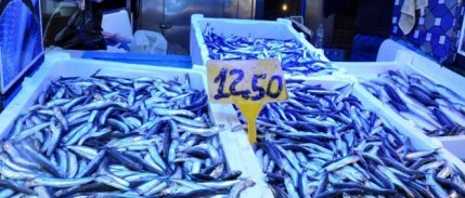 Sinop'ta Soğuk Hava, Balık Tezgâhlarını Vurdu