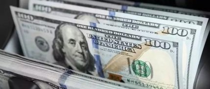 Şirketlerin döviz mevduatı son 7,5 yılın en düşük seviyesinde